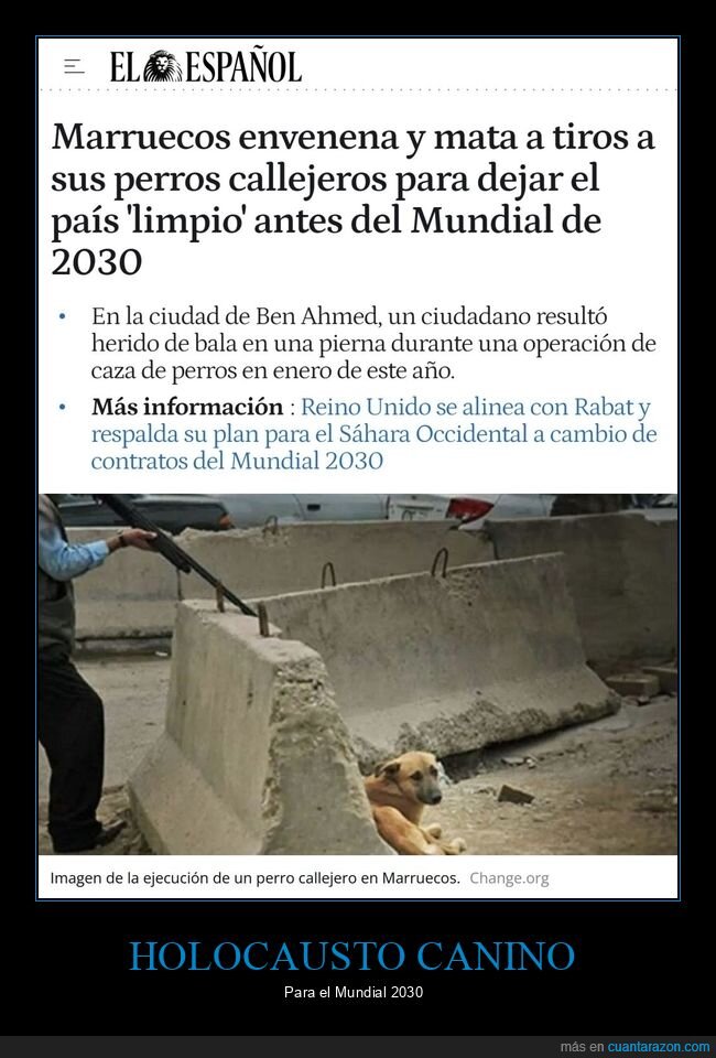 marruecos,perros,mundial 2030