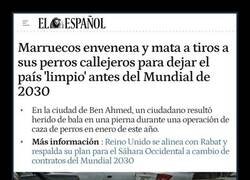 Enlace a Pobres perretes marroquíes...