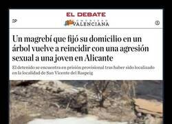 Enlace a Empadronado en un árbol