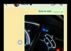 Enlace a No prestó mucha atención en la autoescuela...