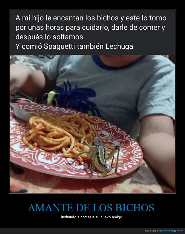 asco,comida,niño,saltamontes