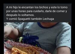 Enlace a Comiendo en compañía