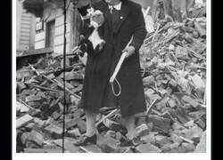 Enlace a Los Gatos de Antaño: Fotografías mostrando que siempre fueron los protagonistas