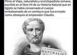 Enlace a El centauro del emperador romano Claudio