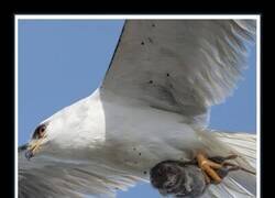 Enlace a Posando para la cámara