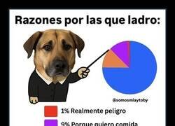 Enlace a Perro ladrador