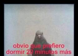 Enlace a Preferencias mañaneras