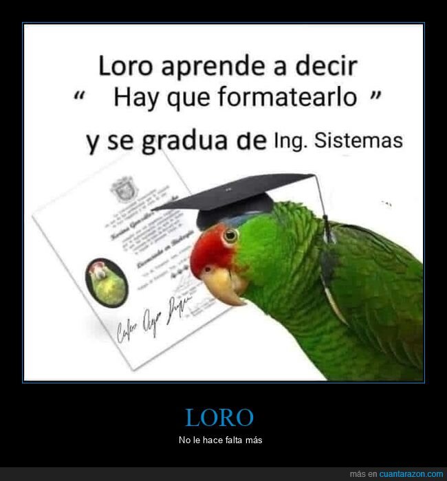 formatear,ingeniería de sistemas,loro