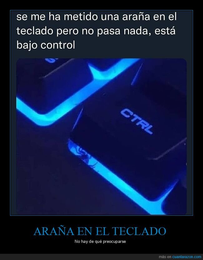 araña,control,teclado
