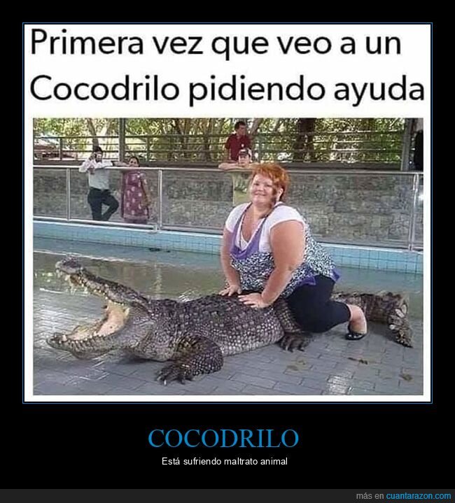 cocodrilo,ayuda