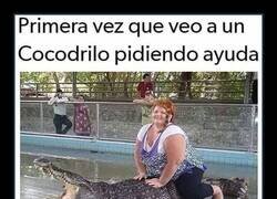 Enlace a Está sufriendo