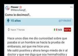 Enlace a Test de embarazo revelador