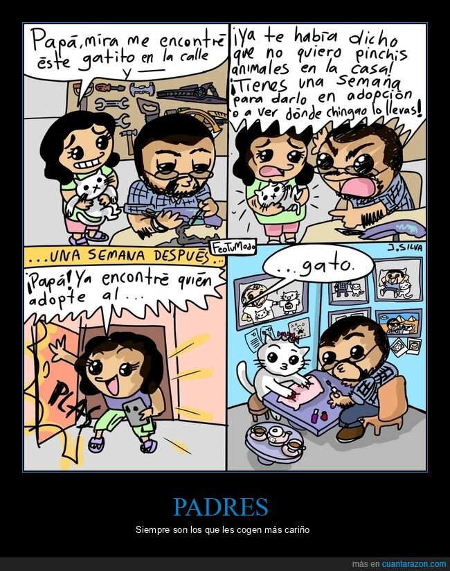 gato,adoptar,padre
