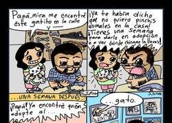 Enlace a Padres y mascotas