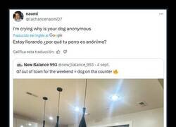 Enlace a Preservando su identidad