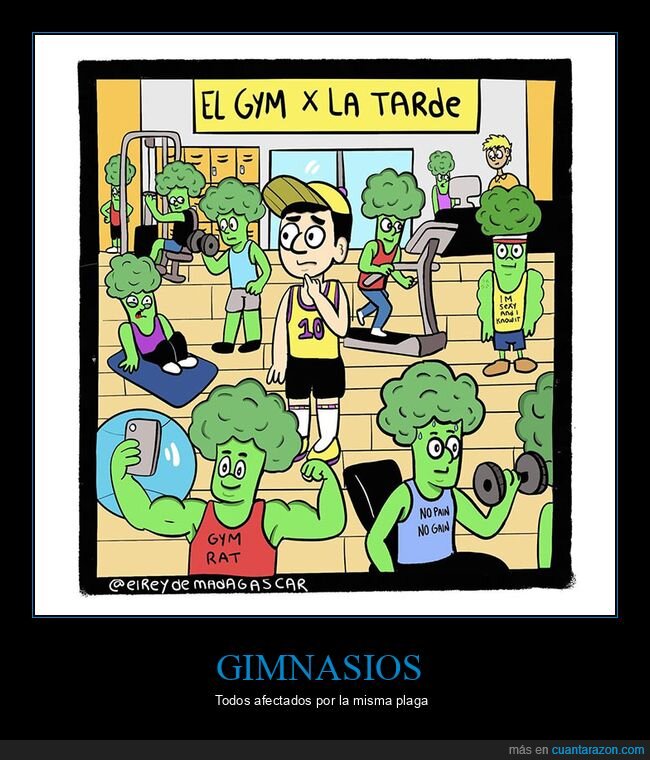 brócolis,gimnasio,pelo brócoli