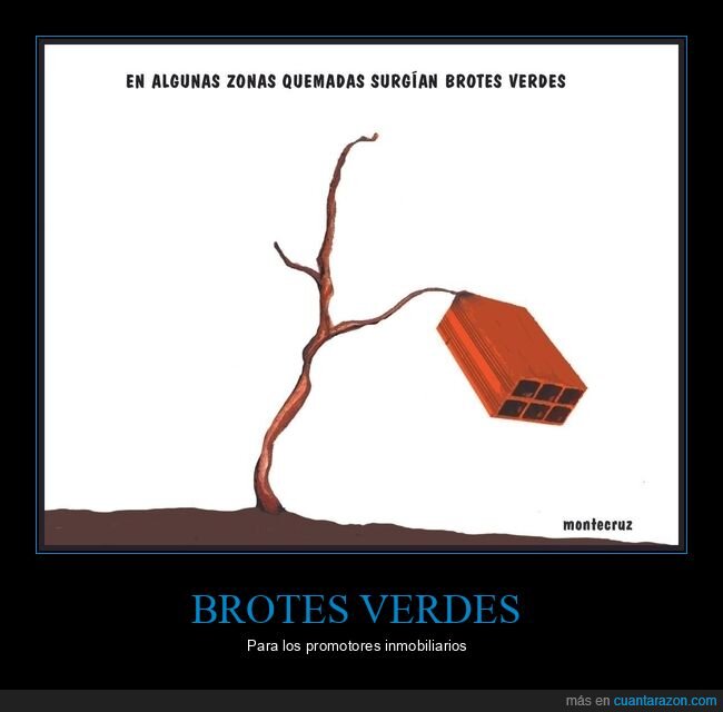 incendios,zonas quemadas,brotes verdes,ladrillo
