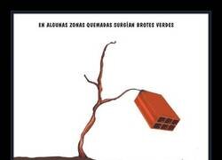 Enlace a Los brotes verdes que esperan algunos