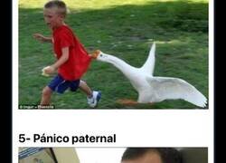 Enlace a Divertidas imágenes de personas que no saben disimular cuyas caras lo dicen todo