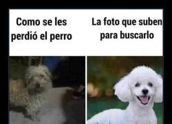 Enlace a Así les va a costar encontrarlo...