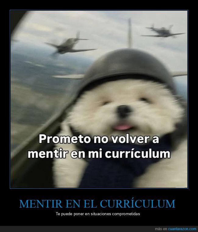 currículum,mentir