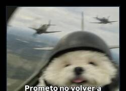 Enlace a La última vez