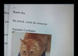 Enlace a Renuncia formal