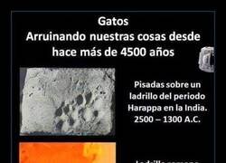 Enlace a No han cambiado nada en siglos