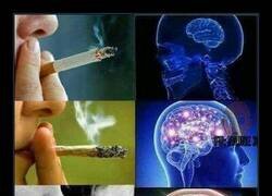 Enlace a Distintas formas de fastidiarse los pulmones