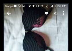 Enlace a Muy astuto...