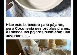 Enlace a Adorables huellas de gato que cuentan una historia sin un solo miau