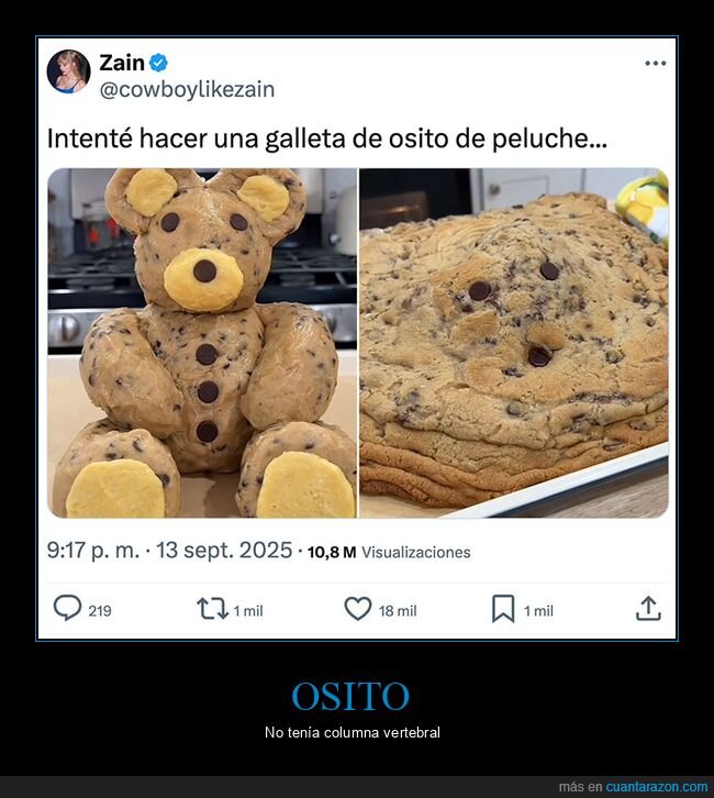 fails,galleta,oso
