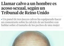 Enlace a Un tribunal casualmente compuesto de calvos