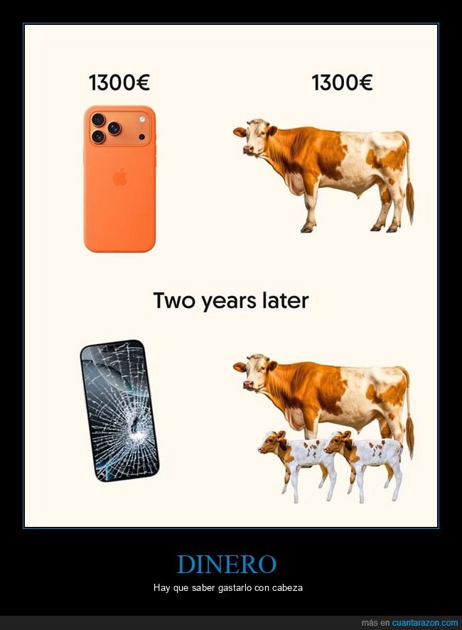 iphone,vaca