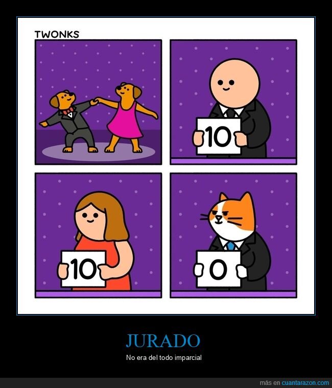 perros,jurado,gato