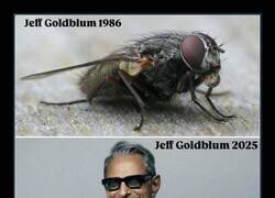 Enlace a Menudo cambio...