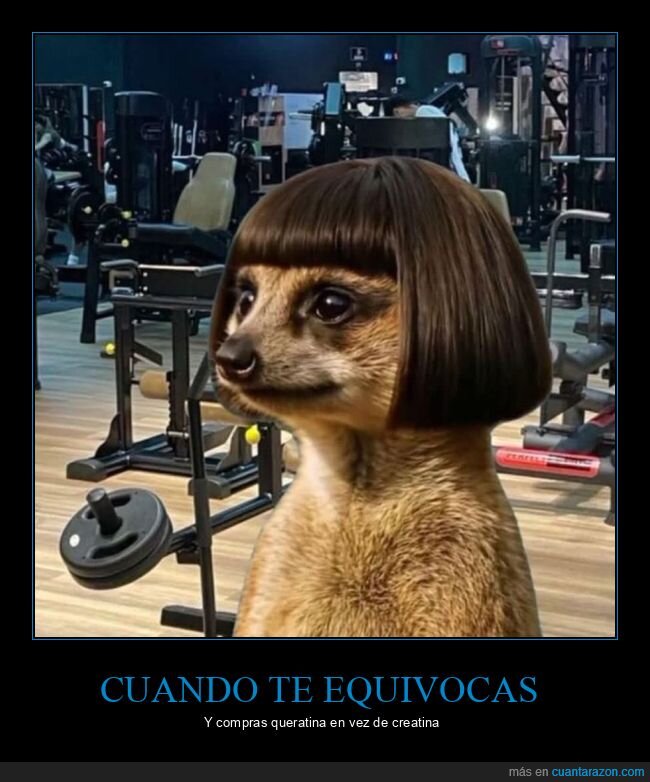 queratina,creatina,pelo