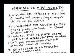 Enlace a En esto se resume la vida adulta