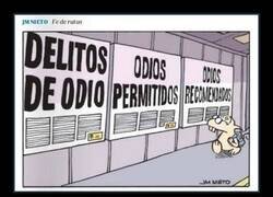 Enlace a Los distintos tipos de odios