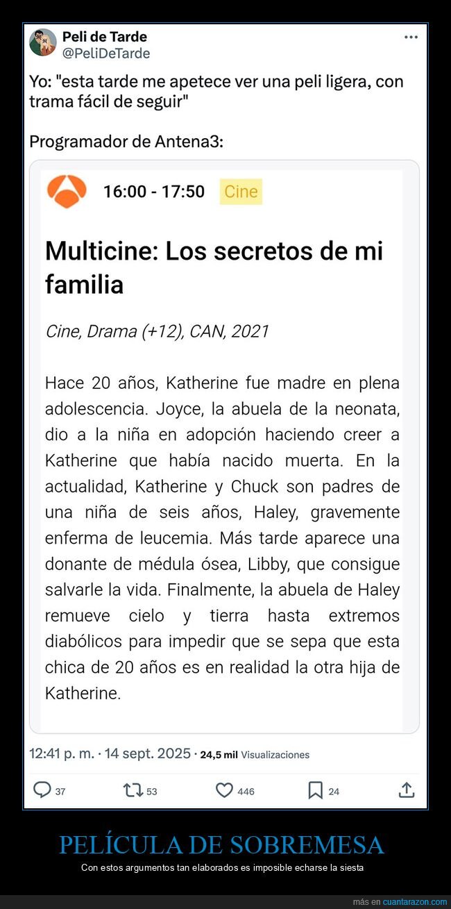 argumento,película de sobremesa