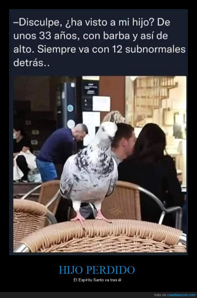 paloma,hijo,espíritu santo