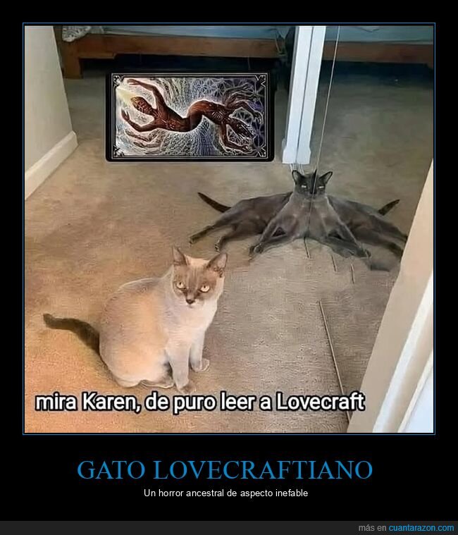 gato,espejo,lovecraft
