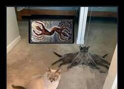 Enlace a Demasiado Lovecraft