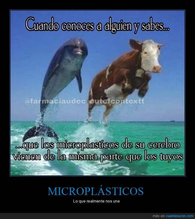 conocer,microplásticos