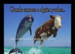 Enlace a Unidos por los microplásticos