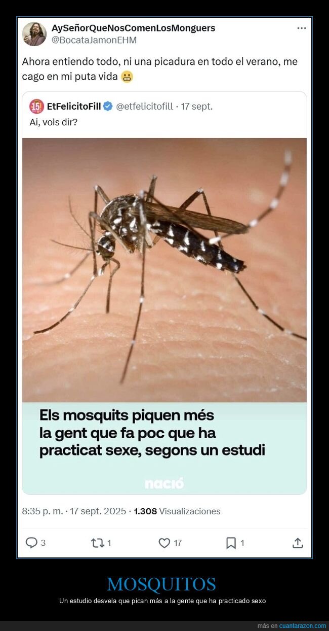 mosquitos,picar