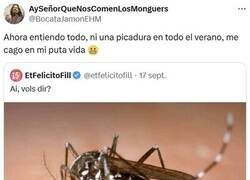 Enlace a ¿Y a ti te han picado mucho los mosquitos?