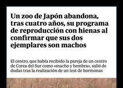 Enlace a Con razón no se reproducían...