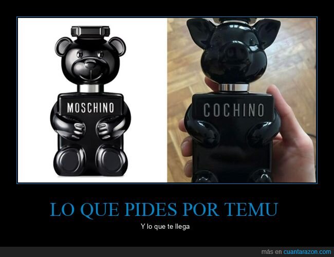 cochino,colonia,moschino