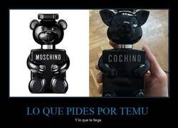 Enlace a Expectativas VS Realidad